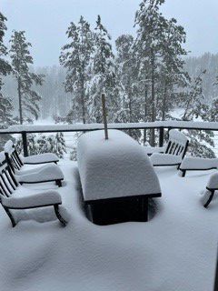 Nemo snow
